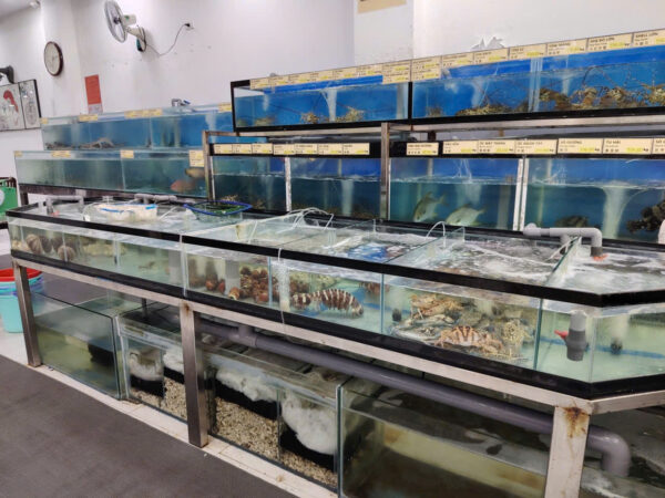 BÁN GẤP NHÀ ĐANG KINH DOANH TRUNG TÂM NHA TRANG - ĐƯỜNG HOÀNG VĂN THỤ - Hình ảnh 1