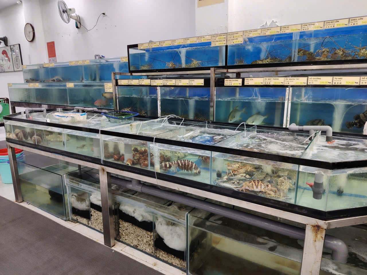 BÁN GẤP NHÀ ĐANG KINH DOANH TRUNG TÂM NHA TRANG - ĐƯỜNG HOÀNG VĂN THỤ - Hình ảnh 1