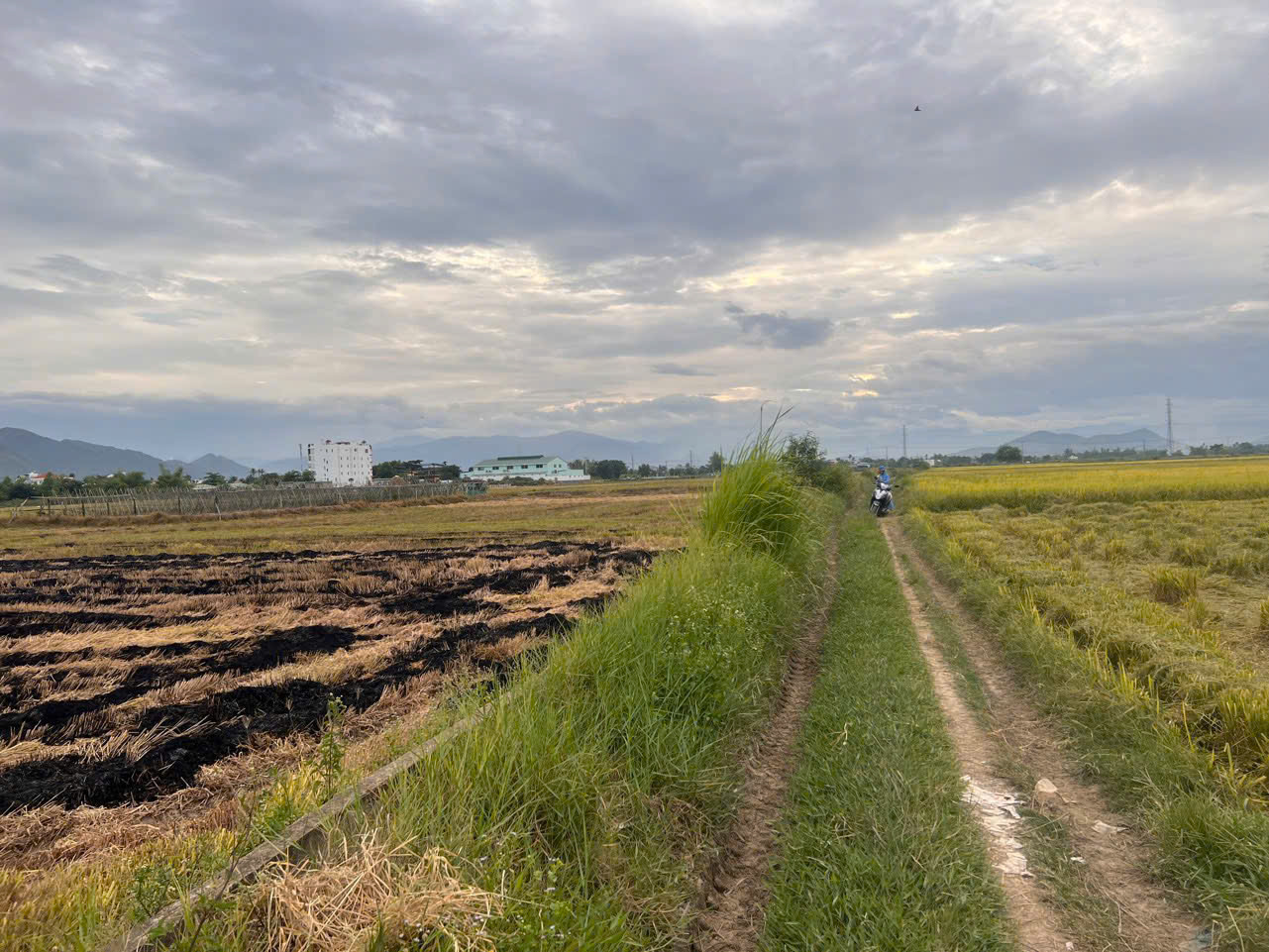 Bán Đất Nền Quy Hoạch Ở 1064m2 Thôn Đông, Vĩnh Phương (Bắc Nha Trang) - Ảnh 2