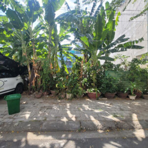 BÁN 2 LÔ ĐẤT LIỀN KỀ KĐT PHƯỚC LONG A - NHA TRANG (Mã NV04) - Giá 5 Tỷ/Lô