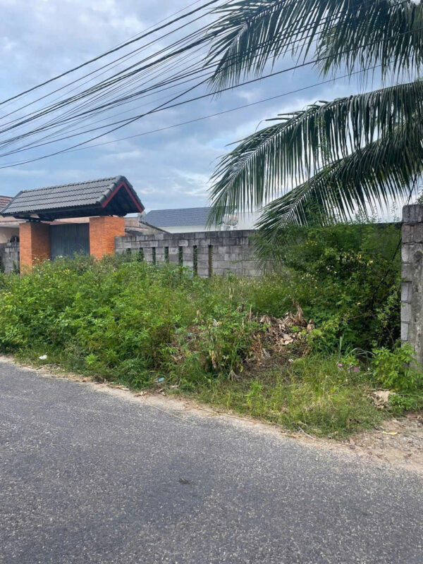 Bán Đất Vườn Thổ Cư 1064m² – Mặt Tiền Đường Nhựa 8m, Suối Hiệp, Diên Khánh