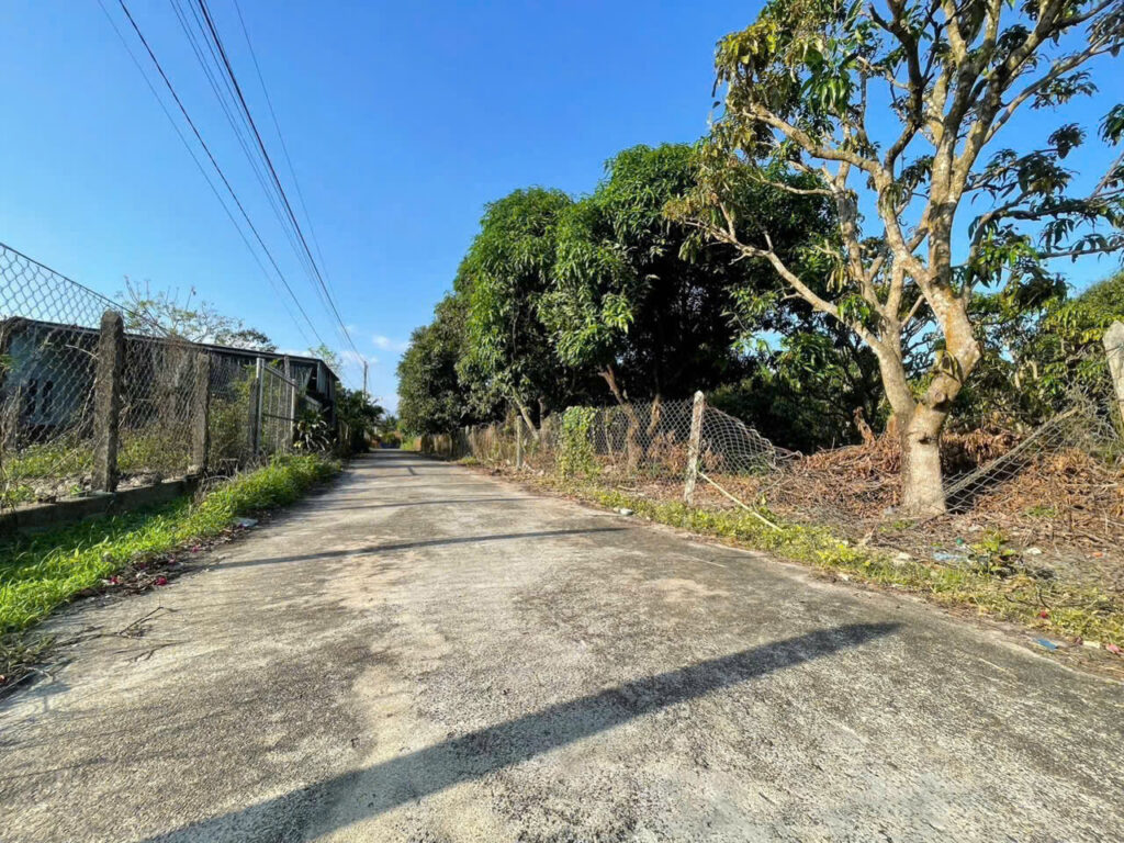 Lô Đất Vườn Thổ Cư 1000m² Mặt Tiền 19m, Suối Hiệp, Diên Khánh
