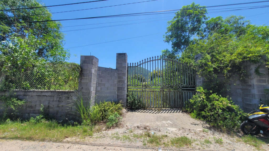 Metal gate with pointed tops set in a gray brick wall, surrounded by lush greenery under a bright blue sky.