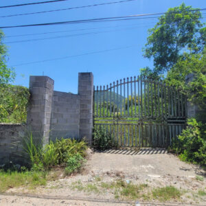 Metal gate with pointed tops set in a gray brick wall, surrounded by lush greenery under a bright blue sky.