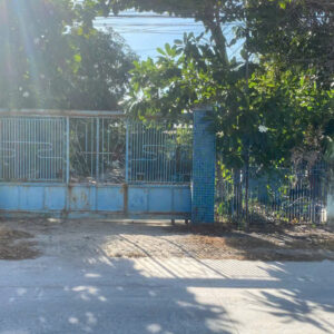 Blue metal gate and blue fence enclosing a lush garden with trees, set behind a concrete street and sunlight glare on the left.