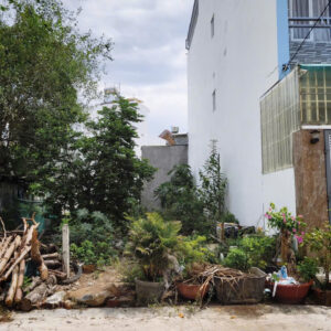 Front yard with a pile of logs and overgrown plants beside a white building and metal gate.",