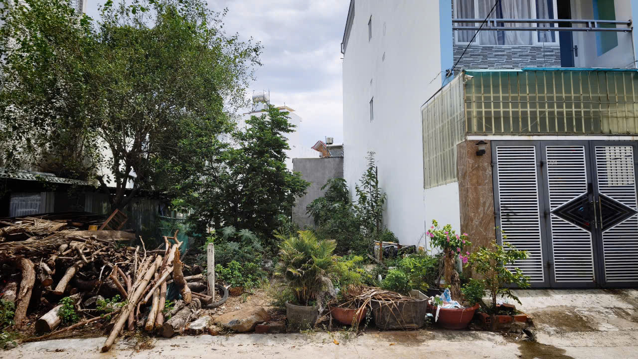 Front yard with a pile of logs and overgrown plants beside a white building and metal gate.",