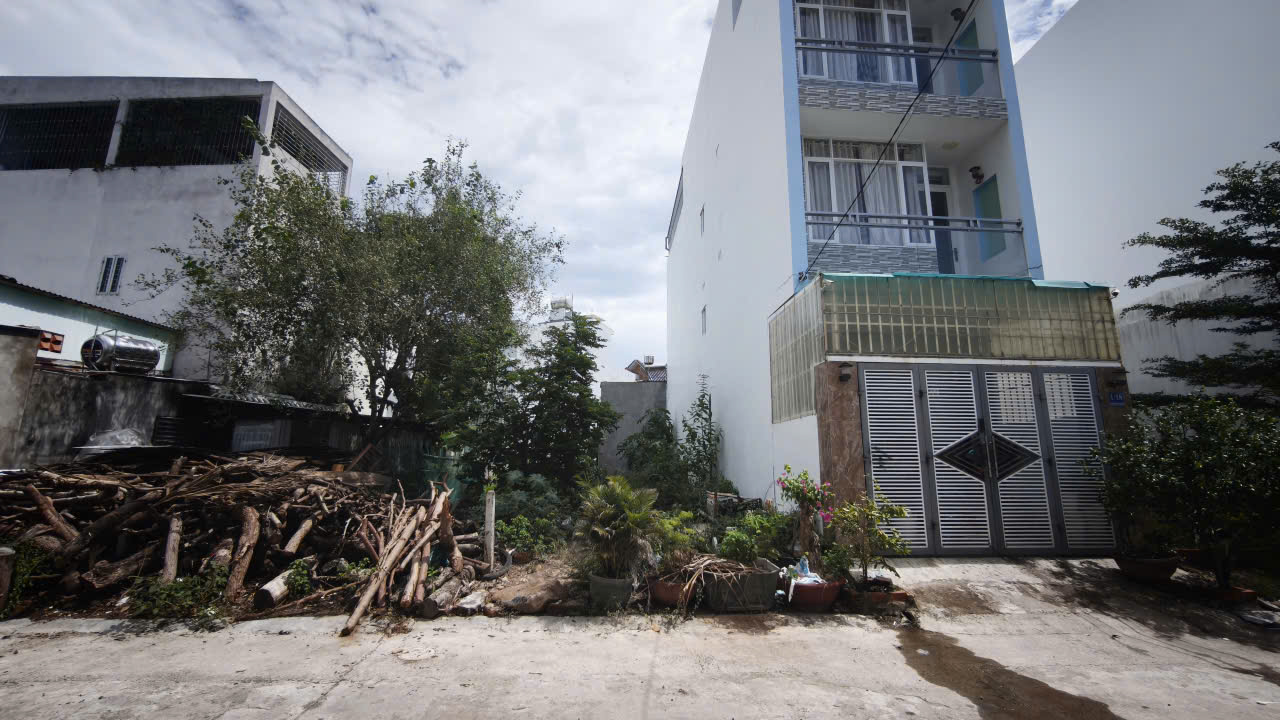 A residential street with a white multi-story building on the right and a pile of branches and logs on the left, with plants in front yards.