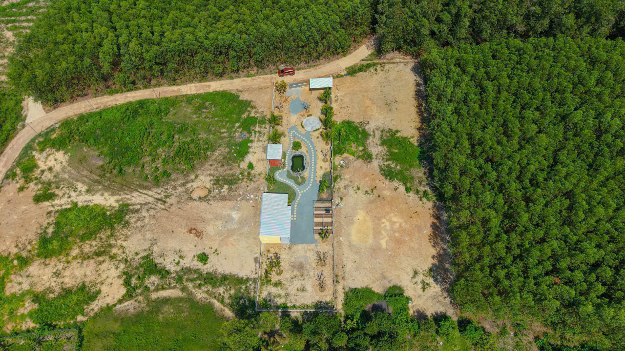 Aerial view of a small rectangular site with a winding path, a central pond, several small buildings, and dense forest on three sides.