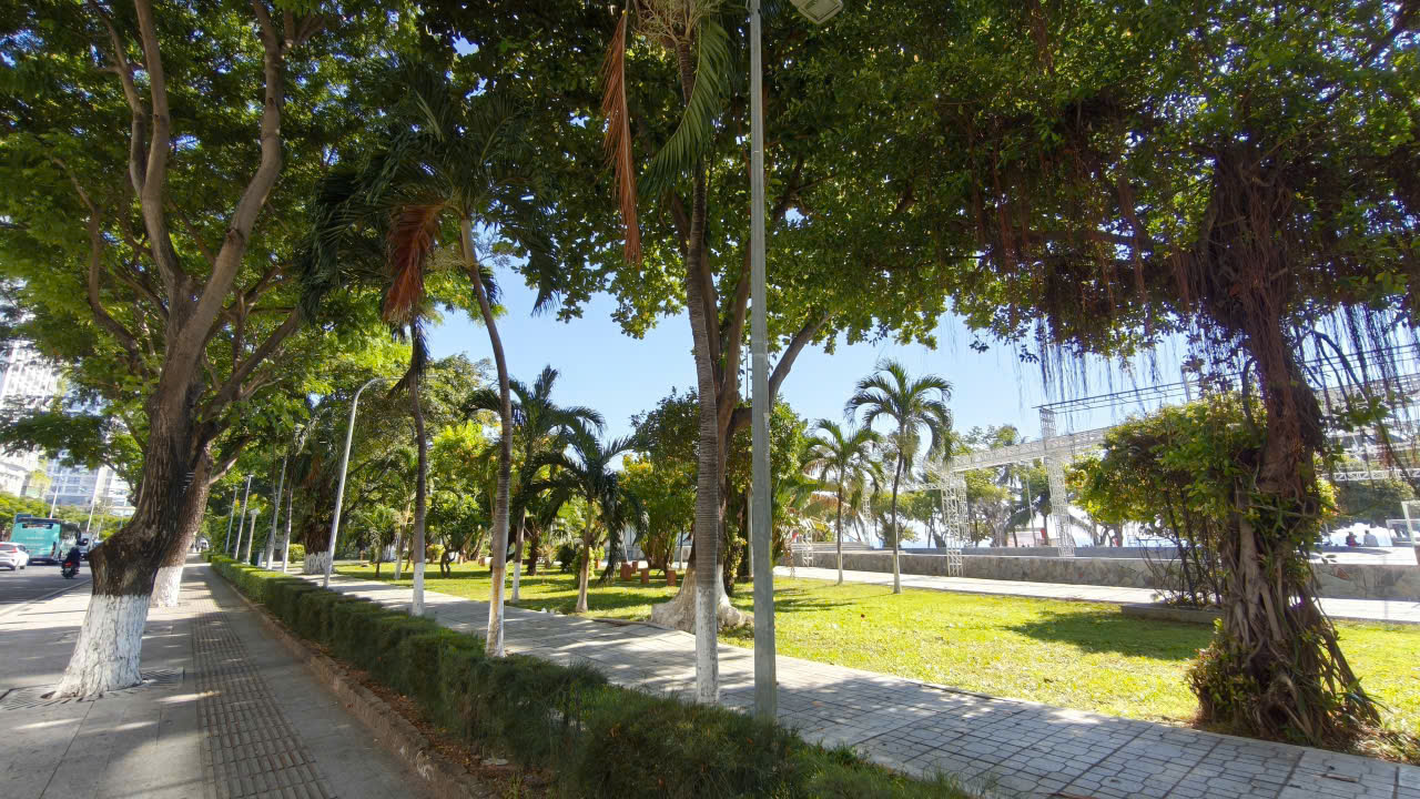 Sunlit city park with a paved path, trimmed hedges, palm trees, and a street with vehicles on the left.