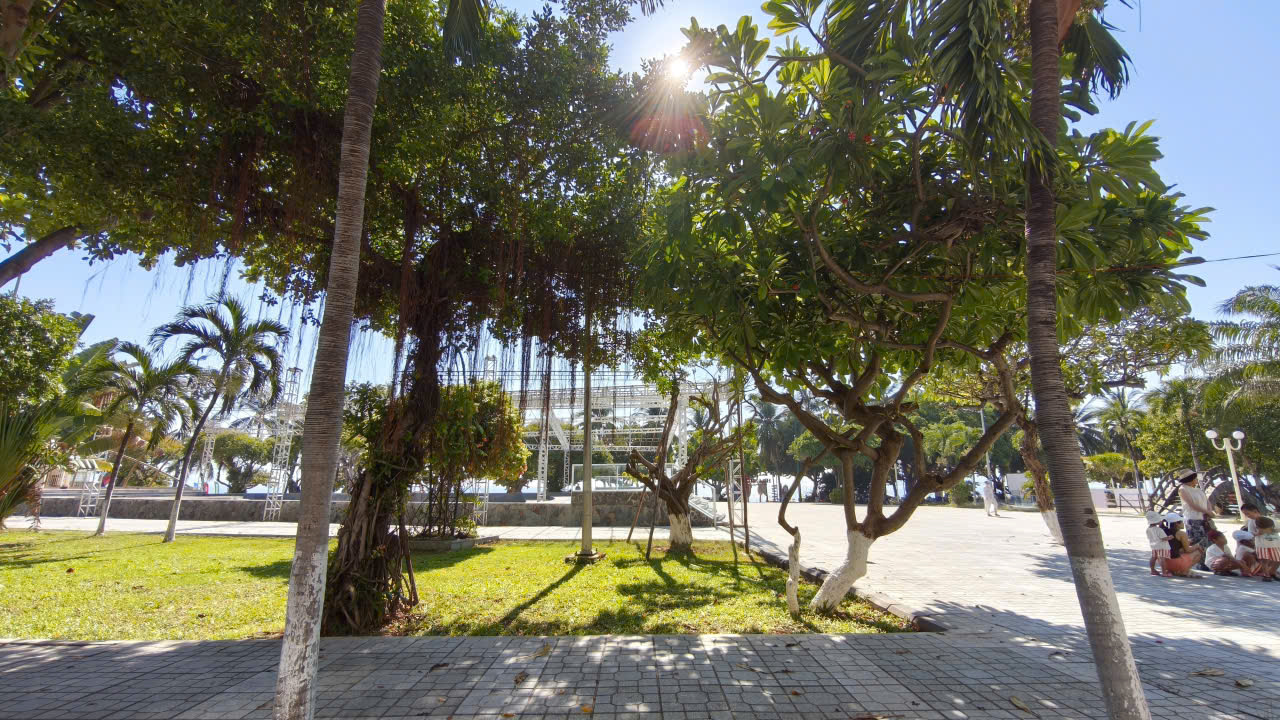Sunlit park scene with palm trees, grassy lawn, and paved area; a group of people sits on the right side under trees.