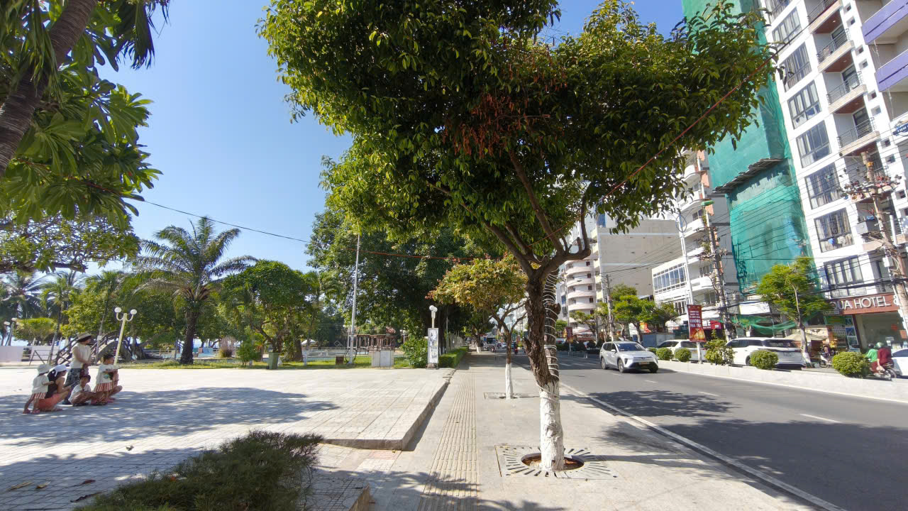 Sunny city street with a tree-lined sidewalk, people sitting on the left, and modern buildings on the right.