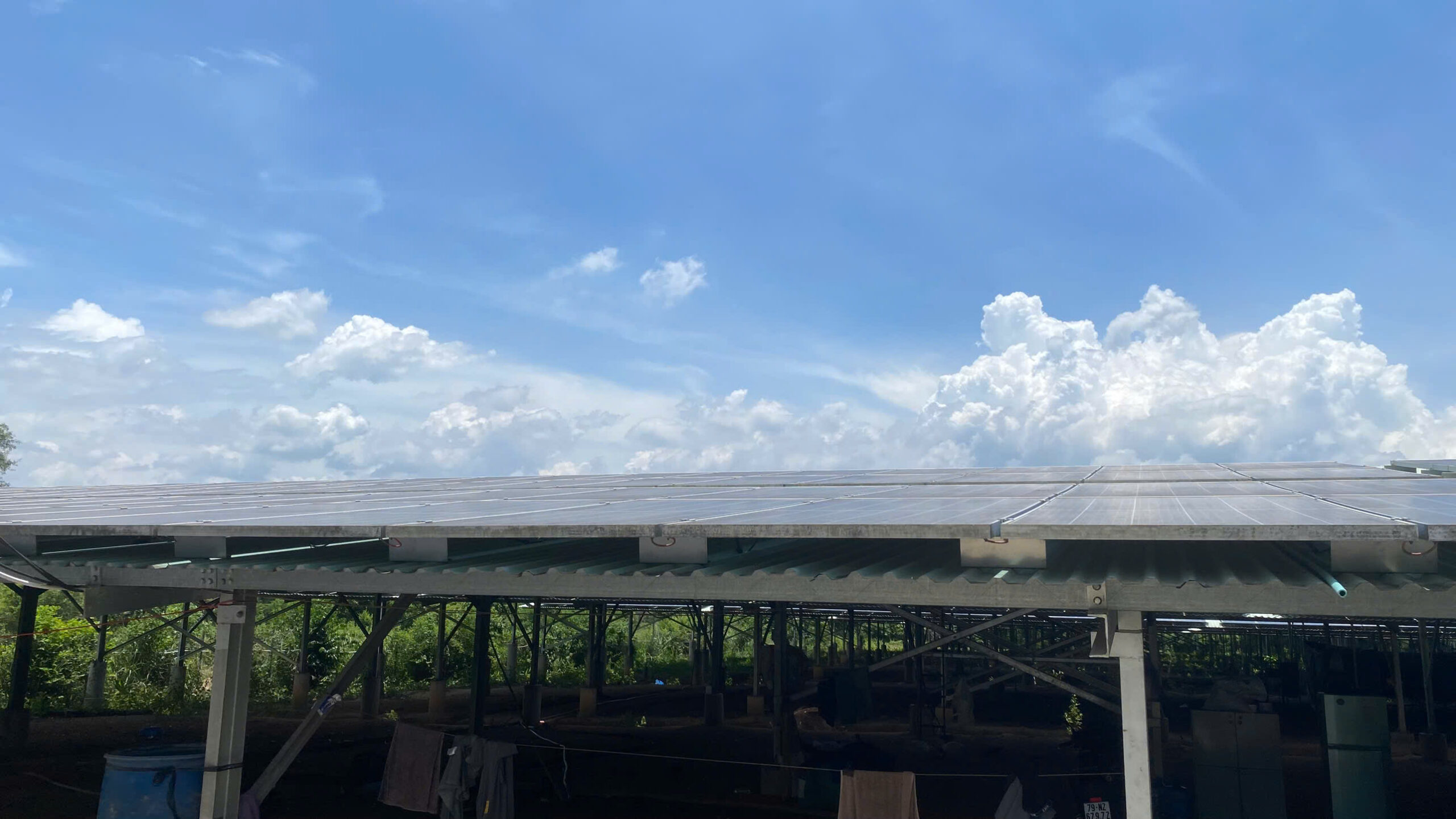 Bán Dự Án Điện Mặt Trời & Đất 13.476m² Tại Diên Khánh, Khánh Hòa - Doanh Thu 400Tr/Tháng - Ảnh 5